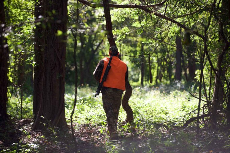 Hunting Leases Big Black River