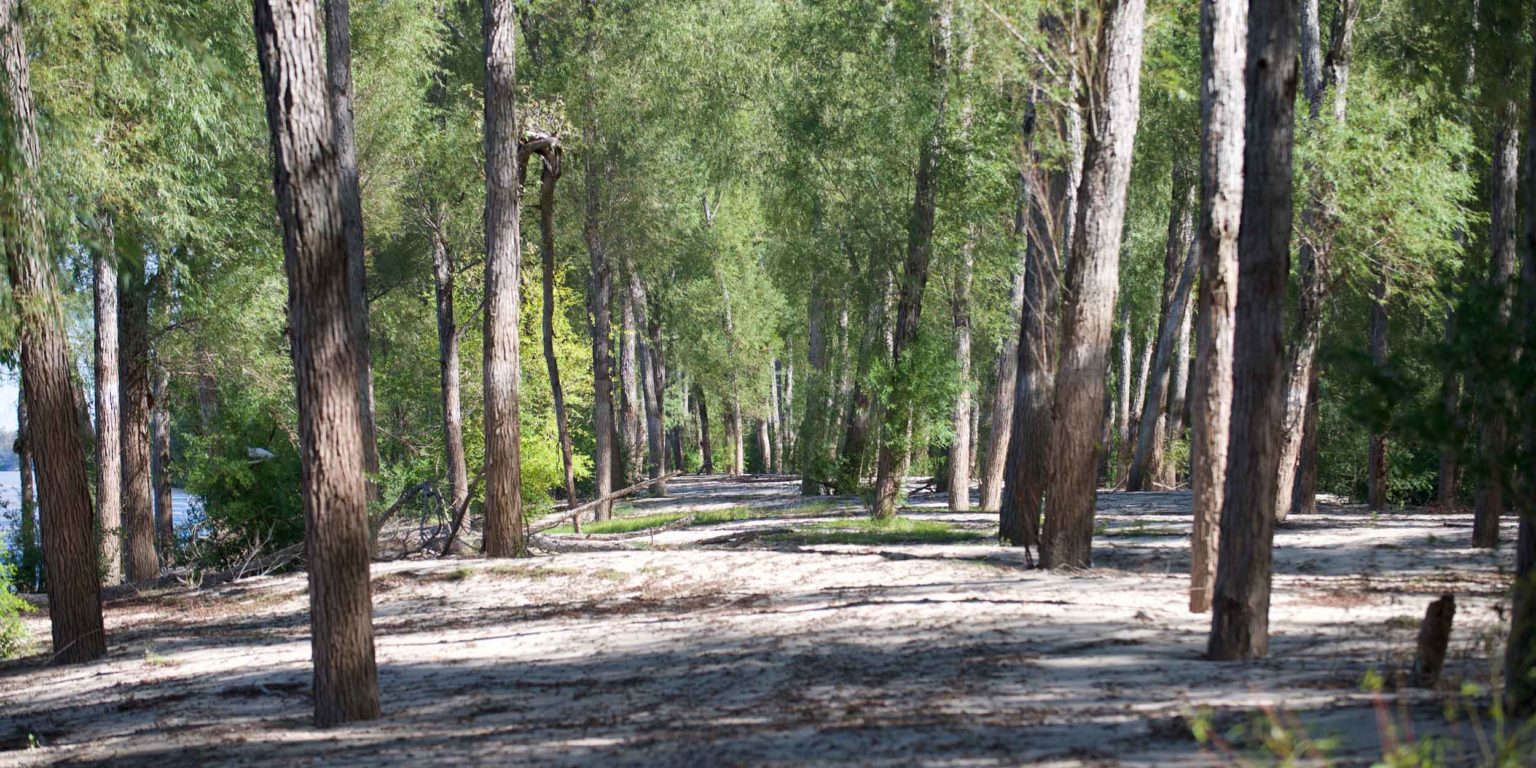 Big Black River Recreational Property in West Mississippi