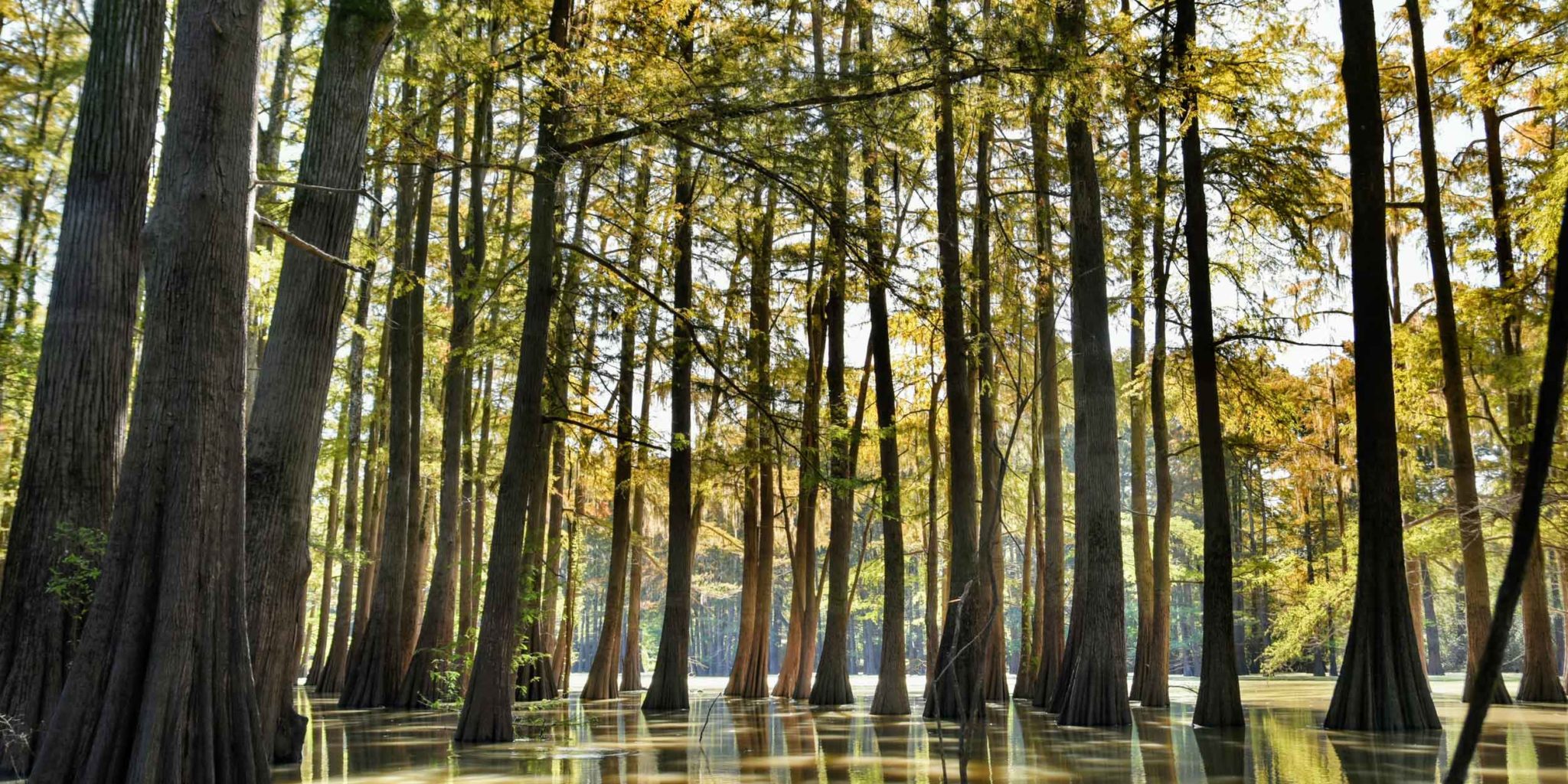 Big Black River Recreational Property in West Mississippi